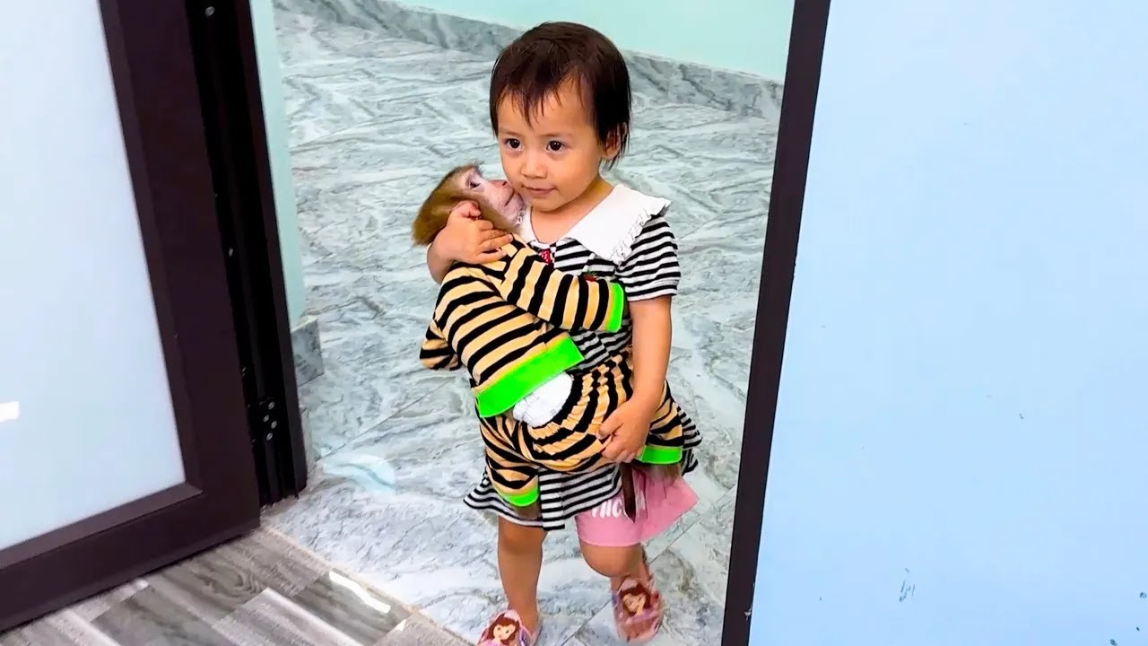 Diem carried Monkey Kaka to sleep with Quynh when saw Monkey Kaka