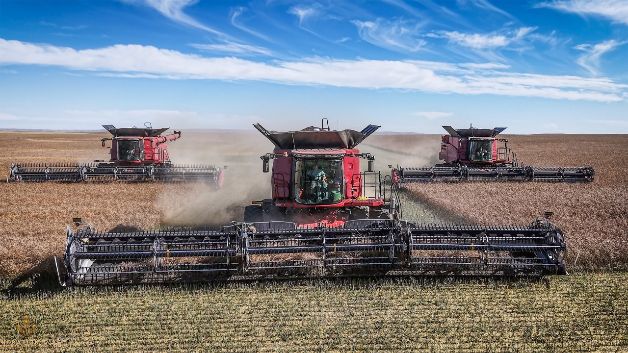 Großlandwirtschaft in Kanada! Von der Aussaat bis zur Ernte - 3x Case Ih Mähdrescher & Versatile
