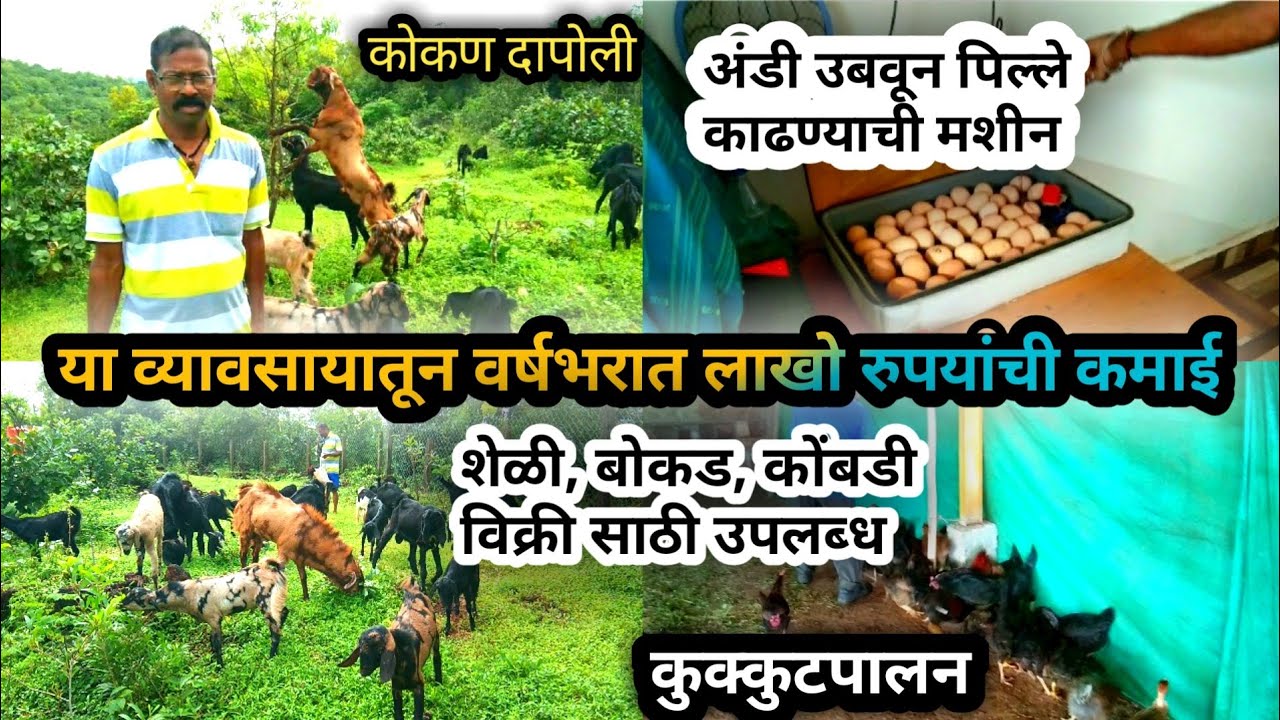 १० शेळ्यांपासून सुरवात | कोकण दापोली मधील ओम साई शेळी व कुक्कुटपालन | व्यवसायाची माहिती | #goatfarm