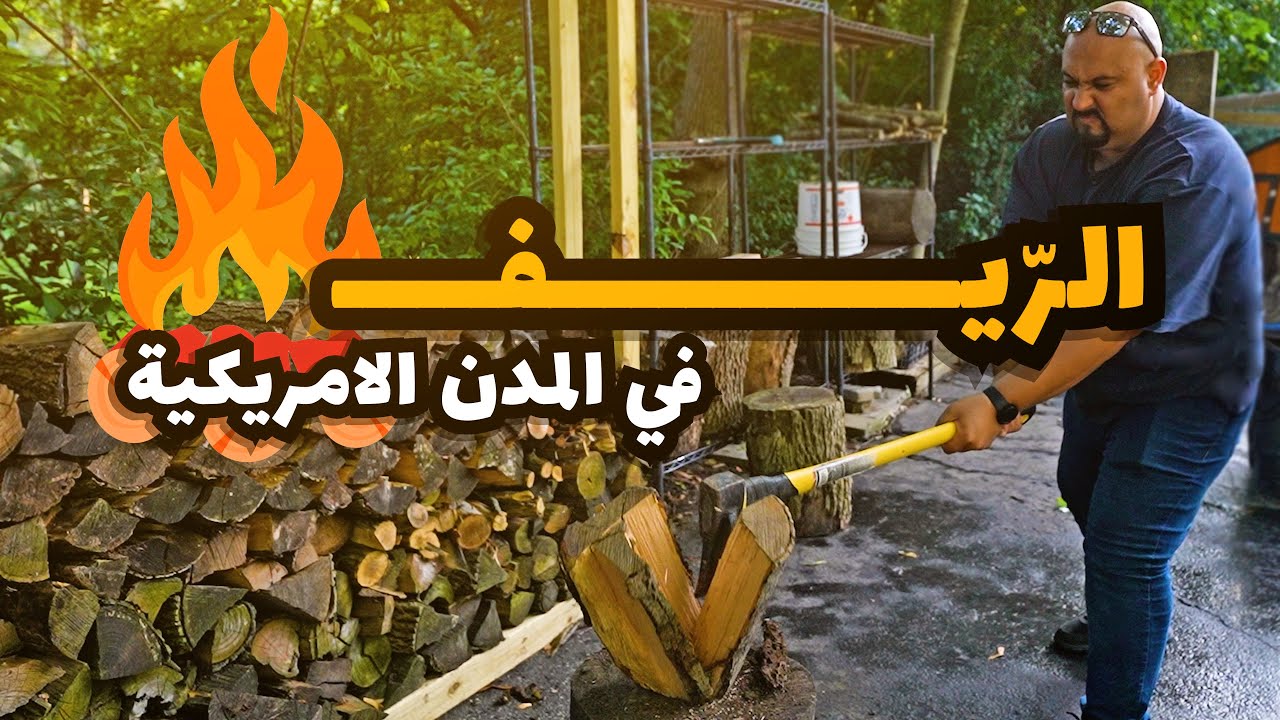!سناجب بتضرب صاحب البيت؟