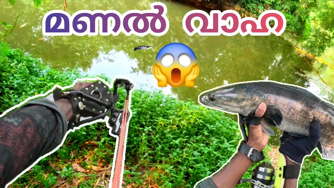 Heavy😱മണൽ വാഹ 