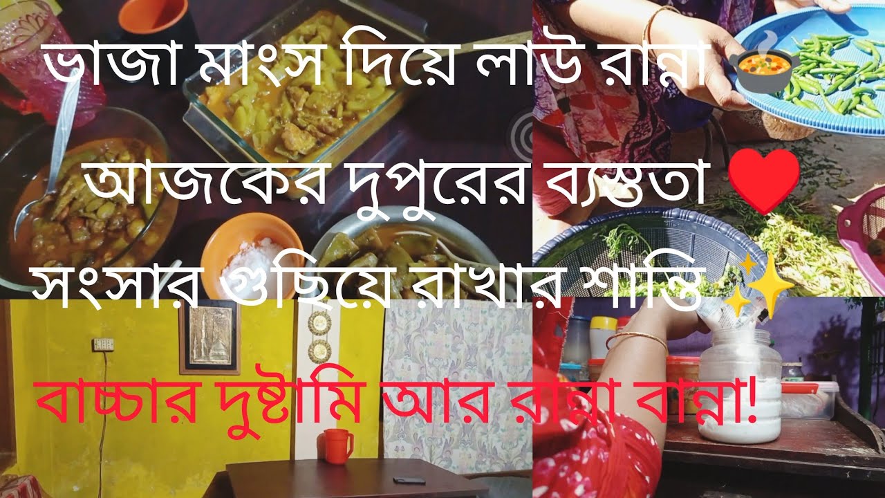 ✨ভাজা মাংস দিয়ে লাউ রান্না আর সারাদিনের ঘরোয়া ব্যস্ততা| Daily Vlog Bengali 
