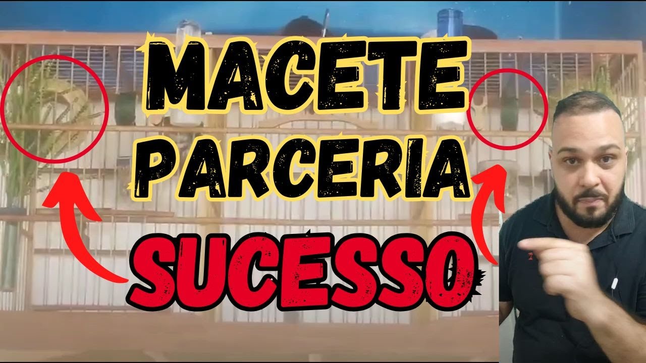 SEGREDOS SECRETOS DA MEXIDA PARCERIA PRA TORNEIO