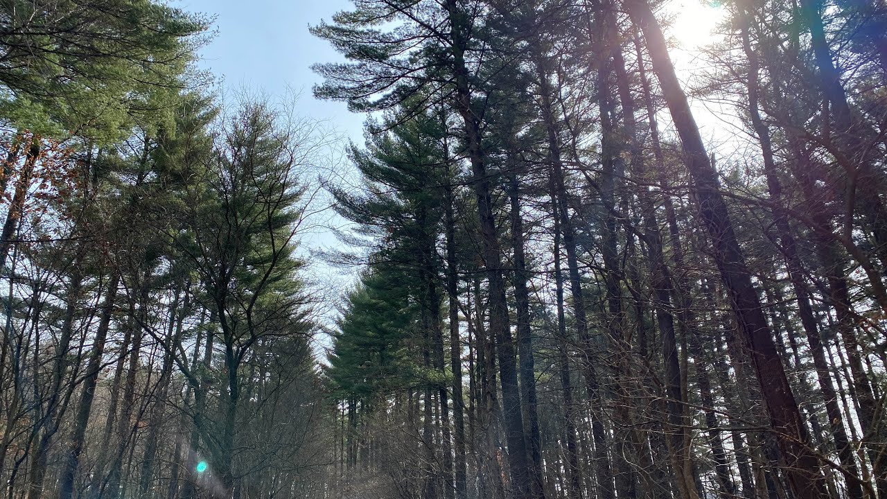 Hiking Lowden-Miller State Park Near Oregon, Illinois