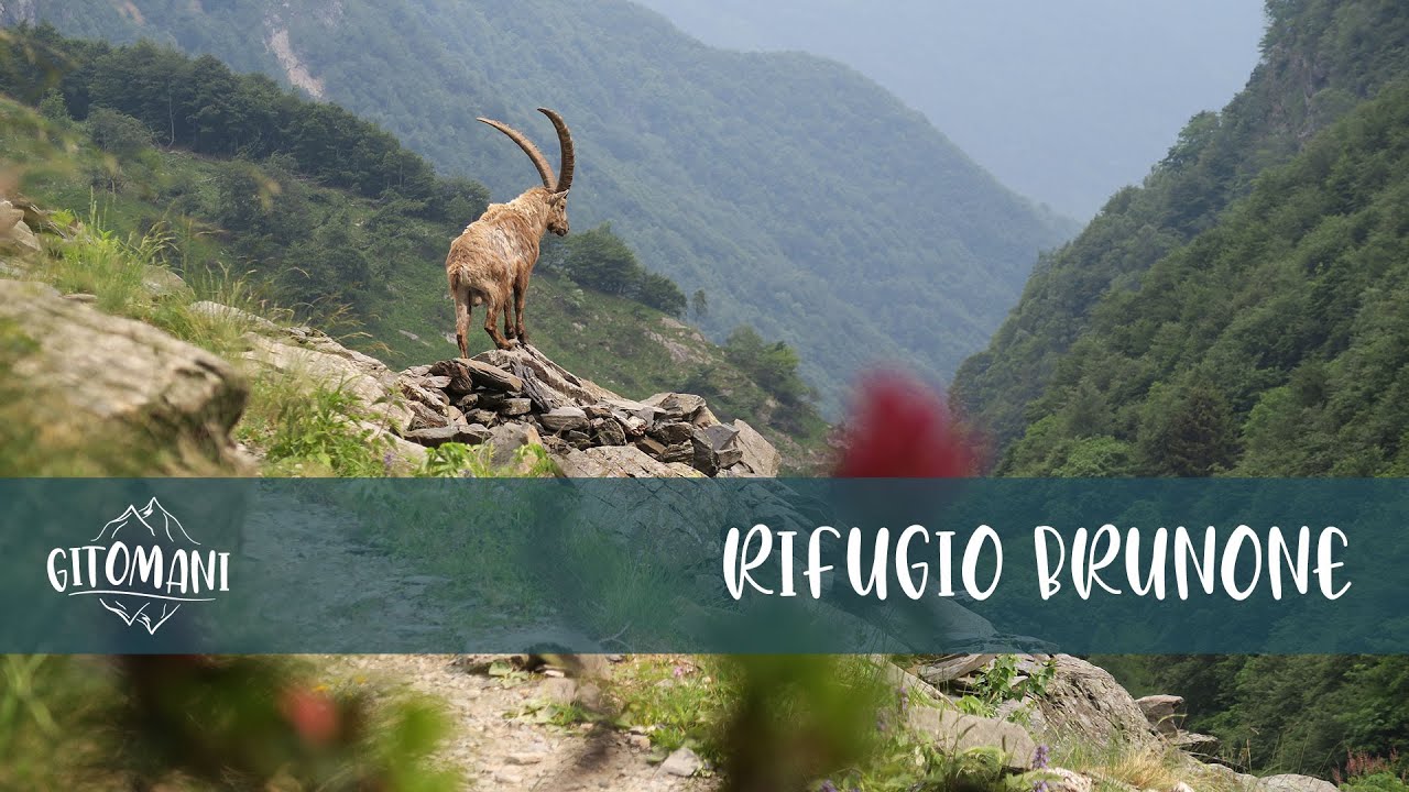 Rifugio Brunone da Fiumenero - La salita raccontata
