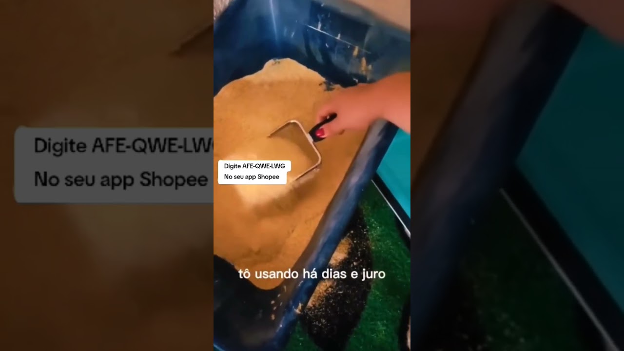 Pazinha Para Areia Gato