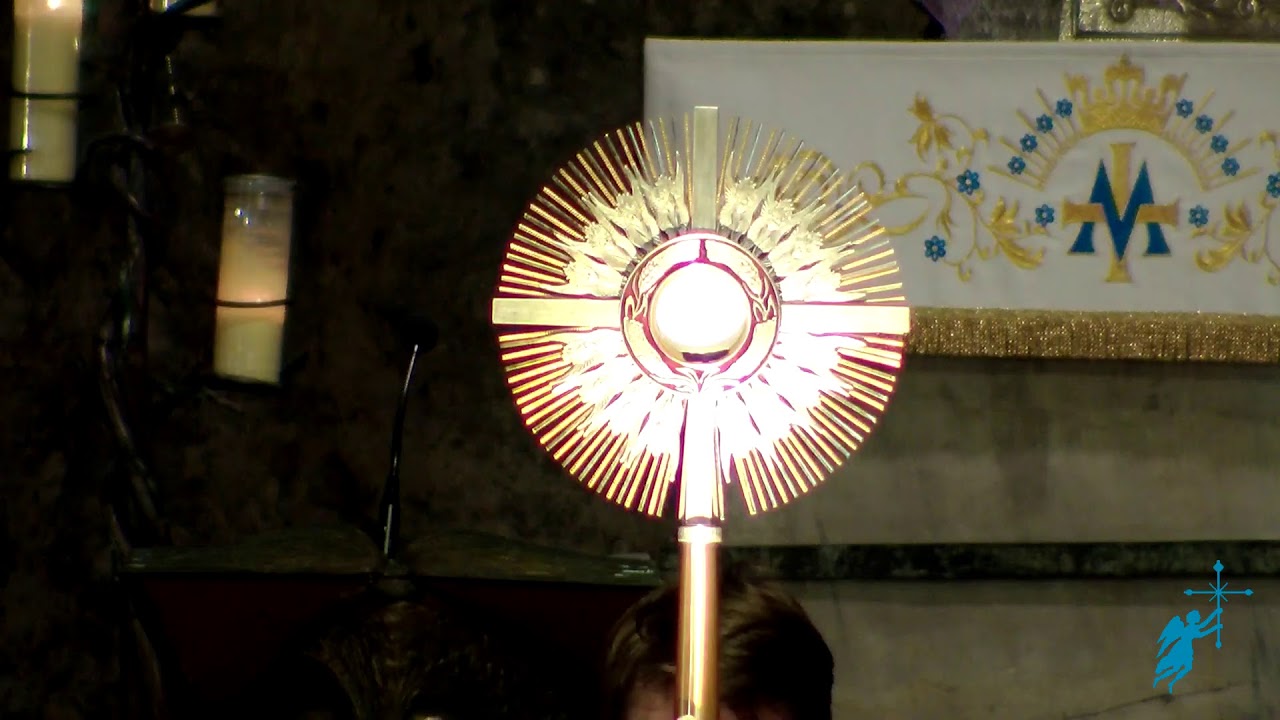 La coroncina alla Divina Misericordia e Adorazione con San Michele