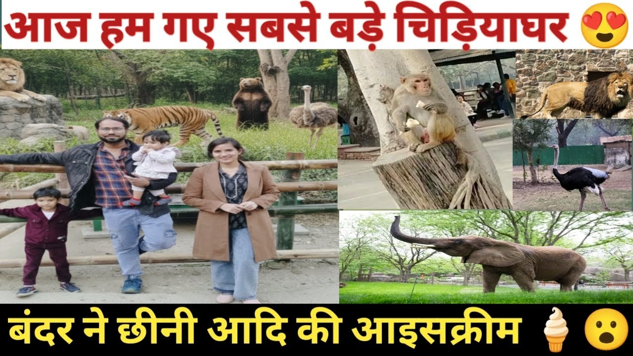 Aaj Hum Gaye Delhi Ka Chidiyaghar 😍 | Delhi Zoo vlog | Delhi ka Chidiyaghar| #delhizoologicalpark 