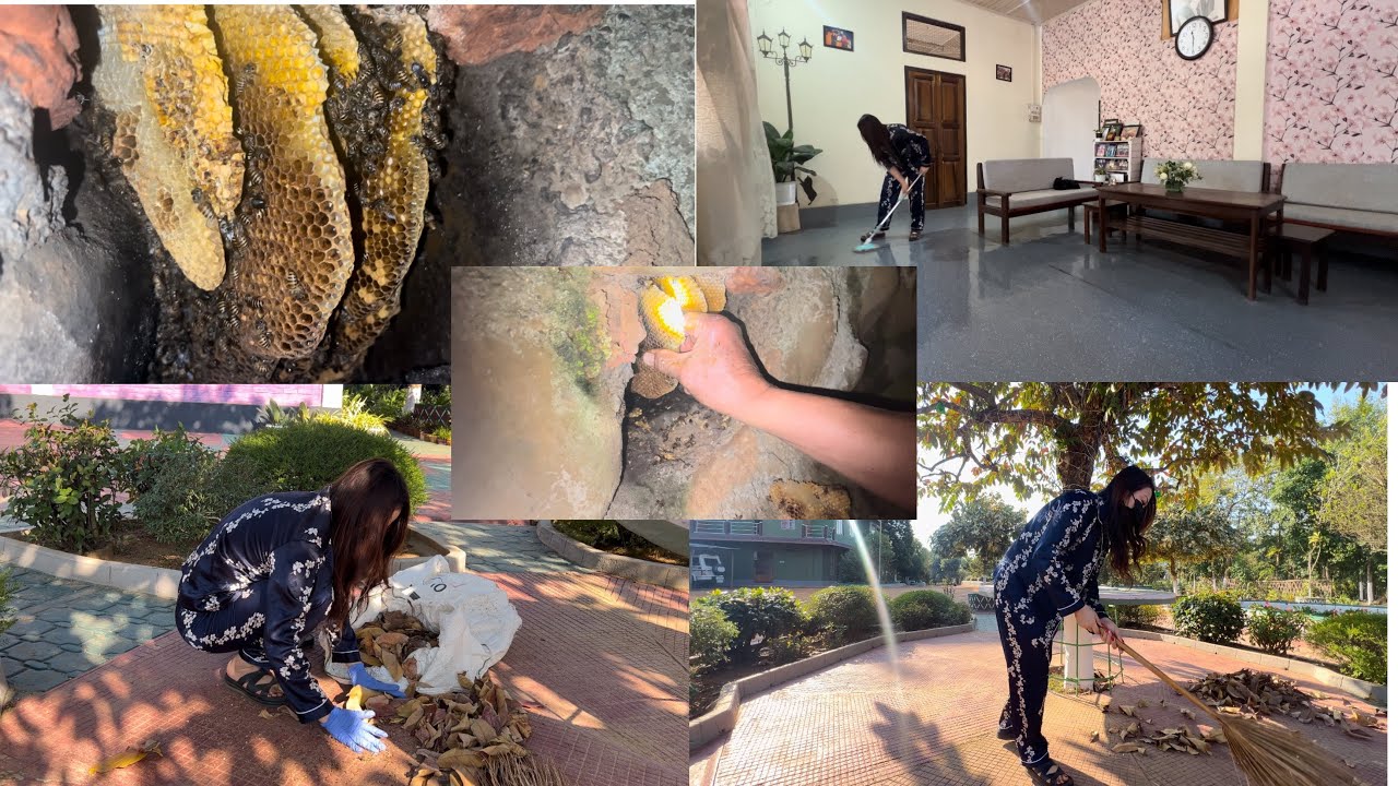 LIFE at Home| Harvesting local honey| productive day| Naga life