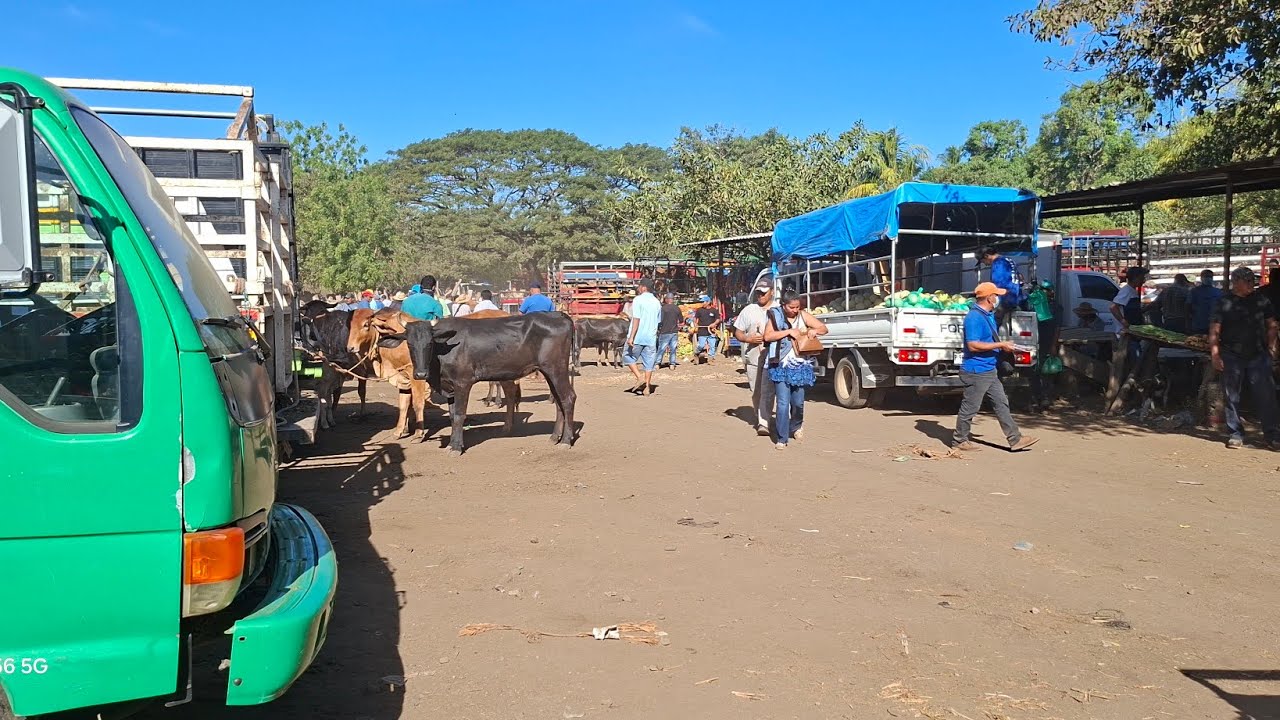 Usulutan tv está en vivo
