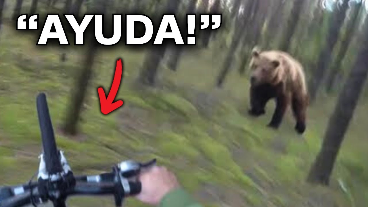 8 Veces En Las Que Streamers Casi MUEREN En Directo