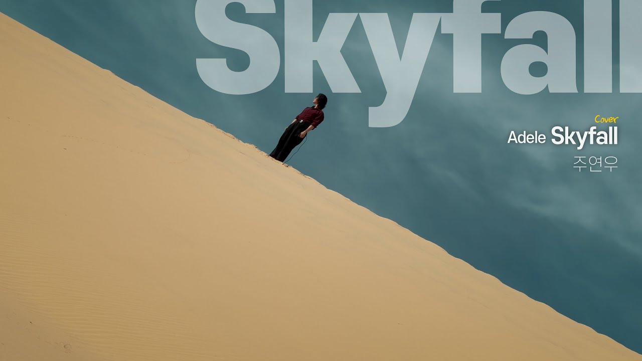 Обложка Skyfall (Adele) - Superstarzoo 007 Skyfall (Оригинальный ключ)