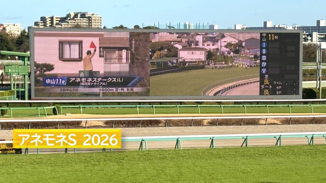 2026年 アネモネステークス | ディアダイヤモンド | ルールザウェイヴ | バルボアパーク | 現地レース映像 | 中山競馬場 | スマシ観戦 | 芝1,600