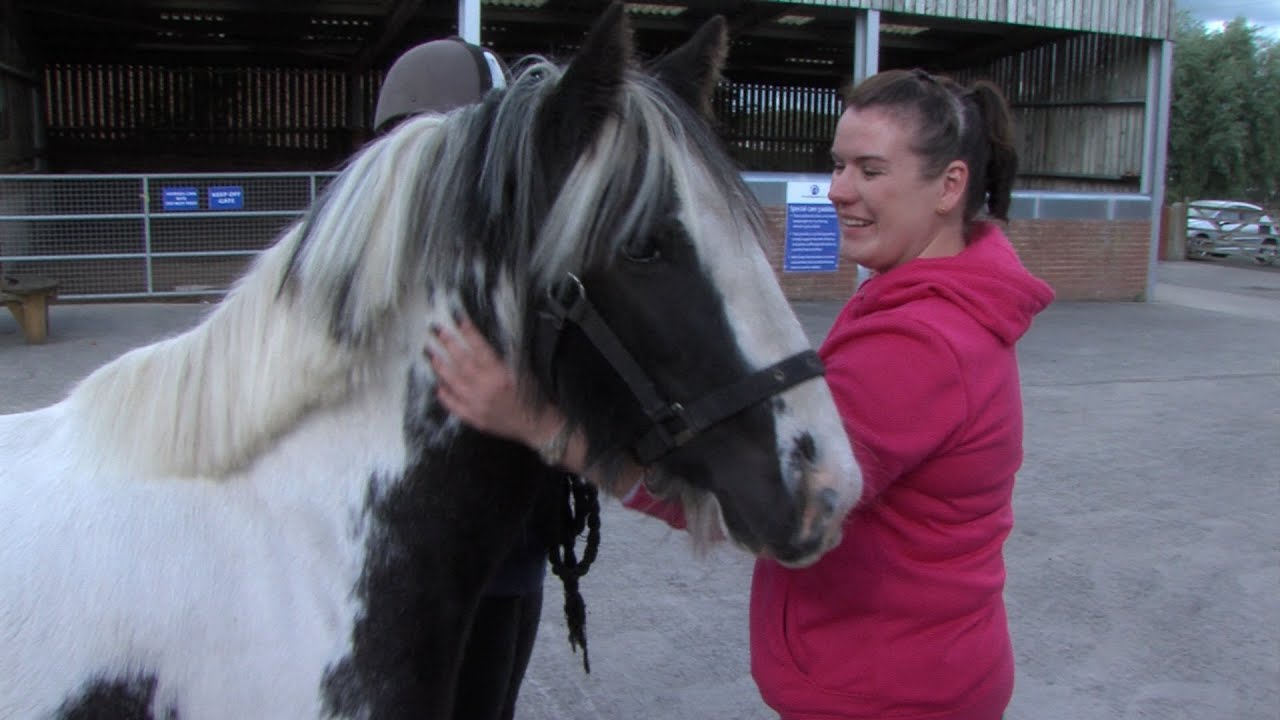 Ponies starved near to death, woman meets the transformed horses she helped to save