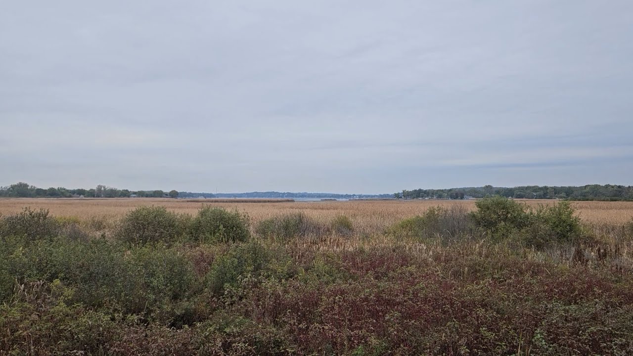 Elizabeth Lake Nature Preserve, Richmond