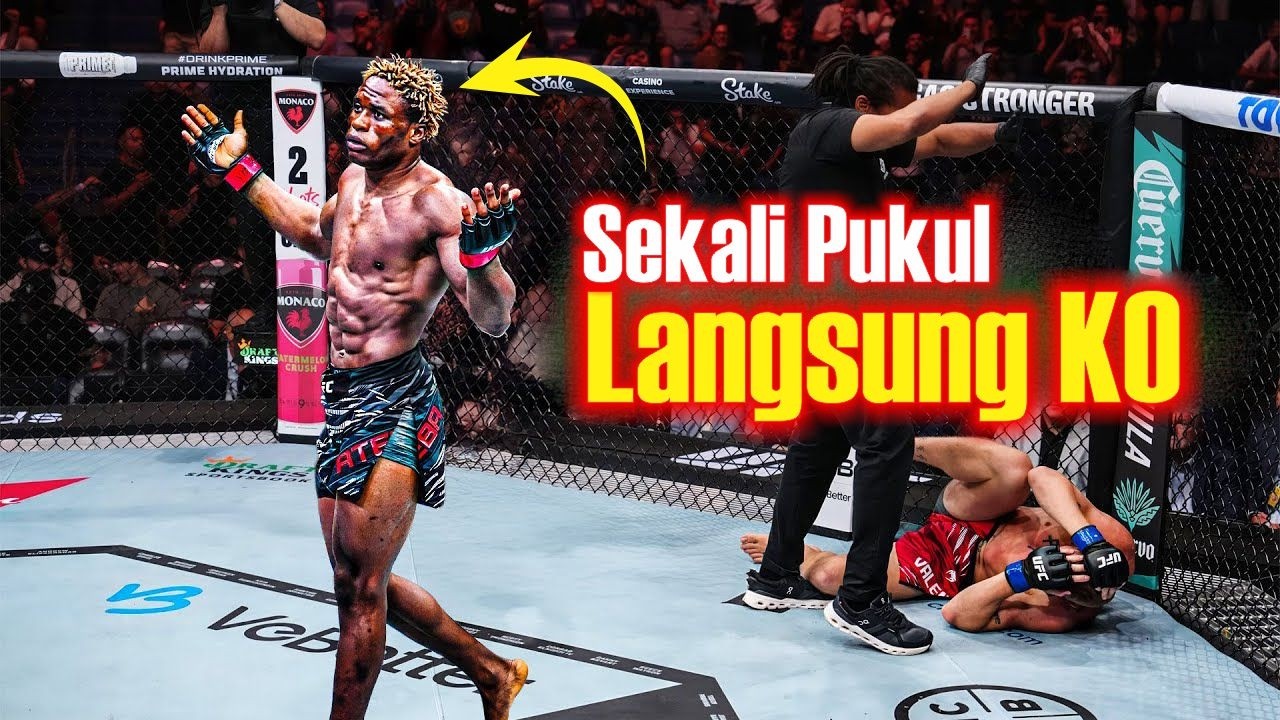 Pemukul Terkeras UFC Saat Ini The Next Francis Ngannou - Ateba Gautier