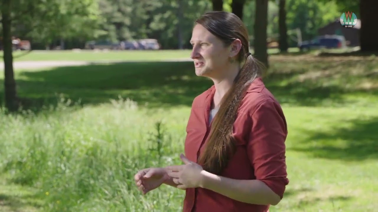 Careers In Forestry - Forest Management And Ecology Research Scientist