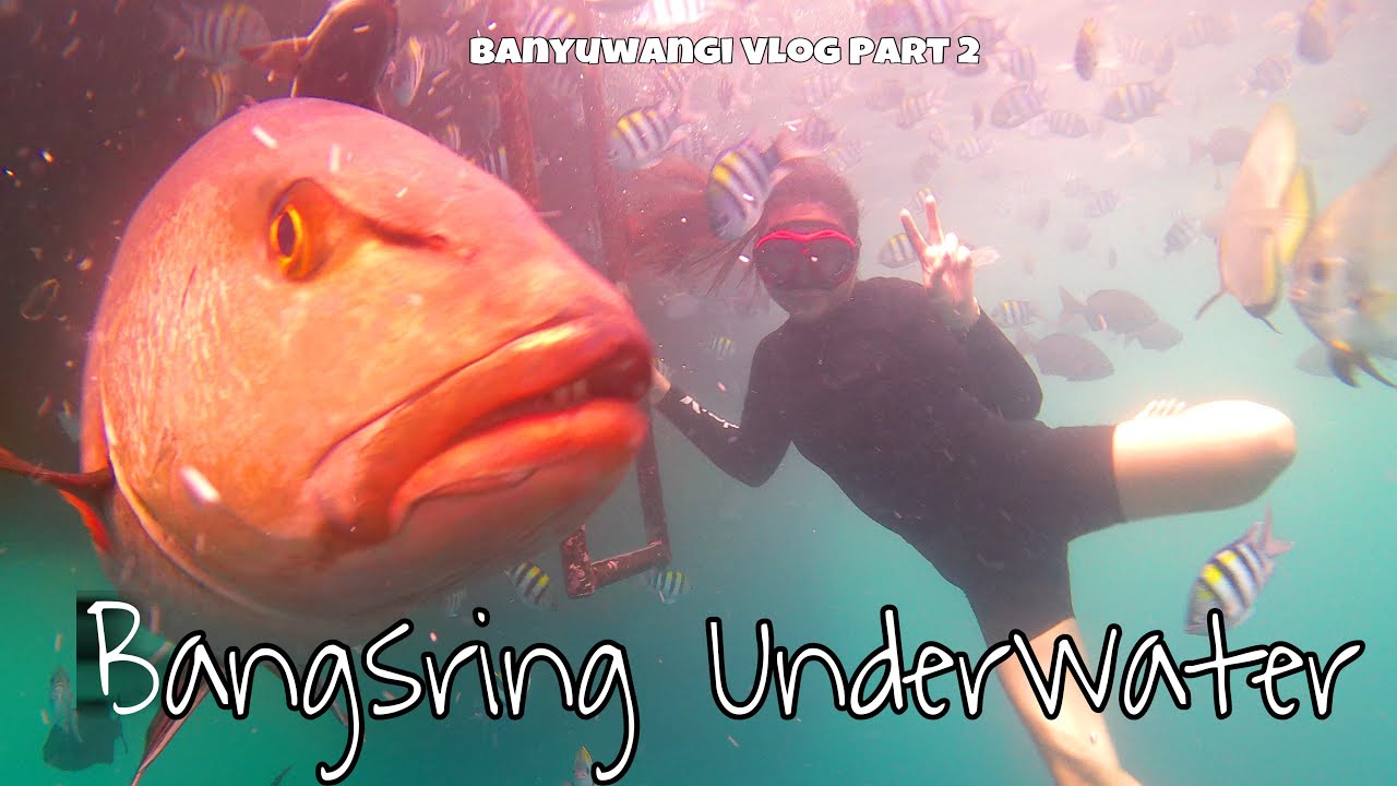 BANYUWANGI VLOG #2 - Digigit ikan sampe luka-luka