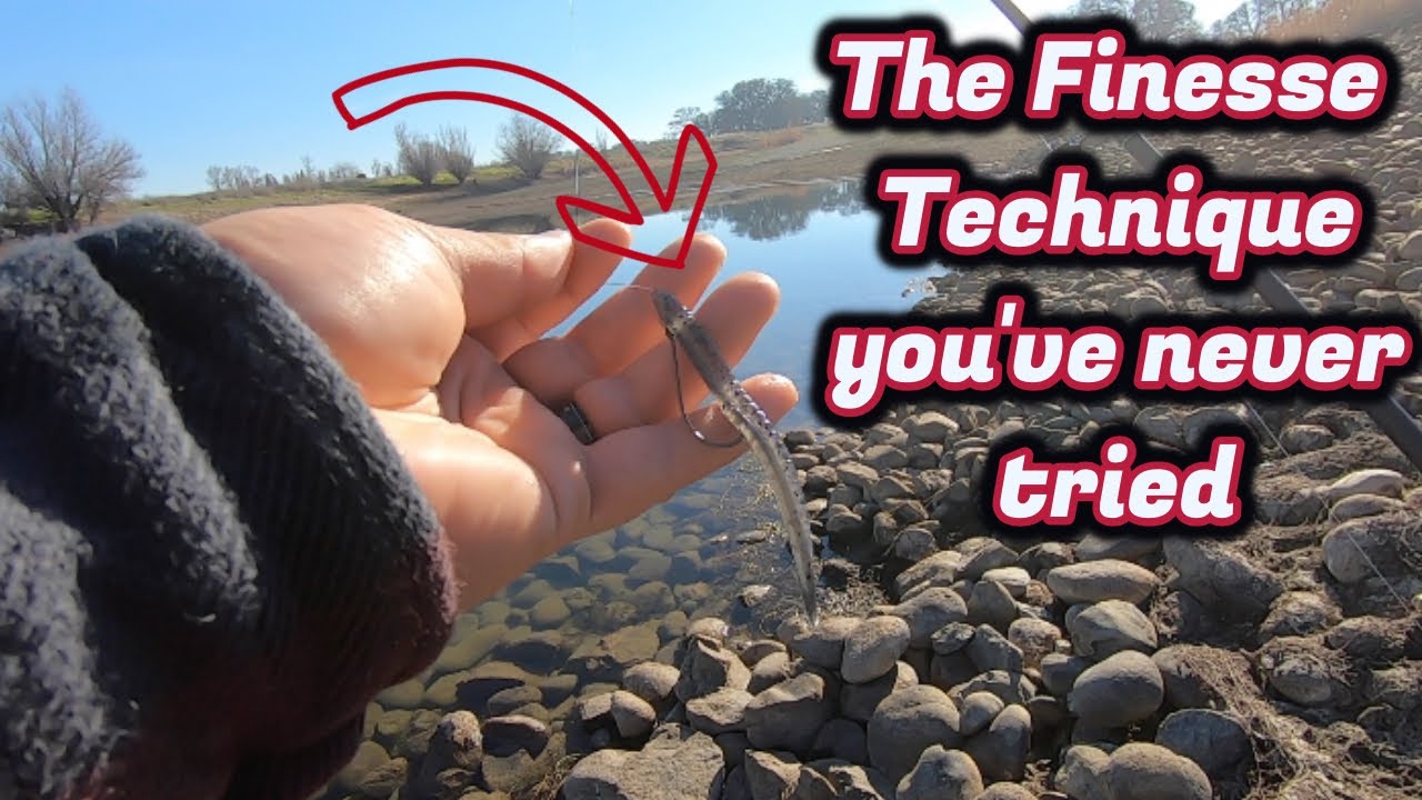 How to Split Shot for Bass