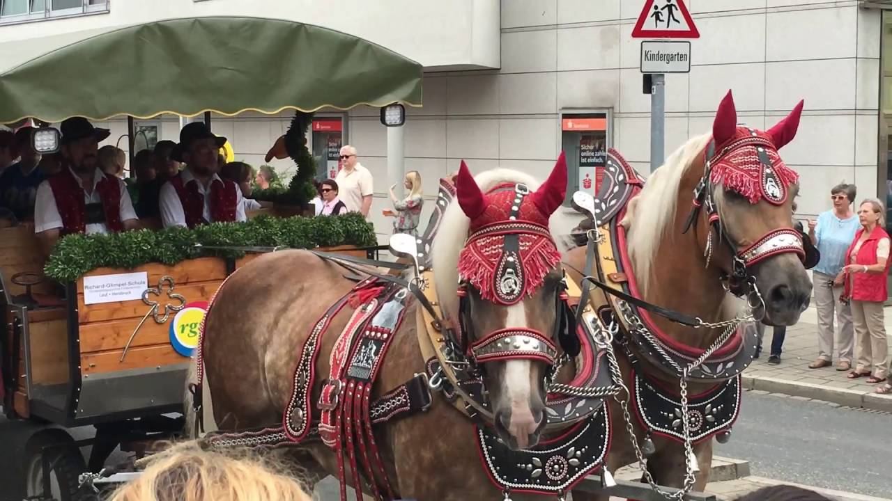 209. Kundigundenfest 2016 Lauf an der Pegnitz - Festumzug (komplett)