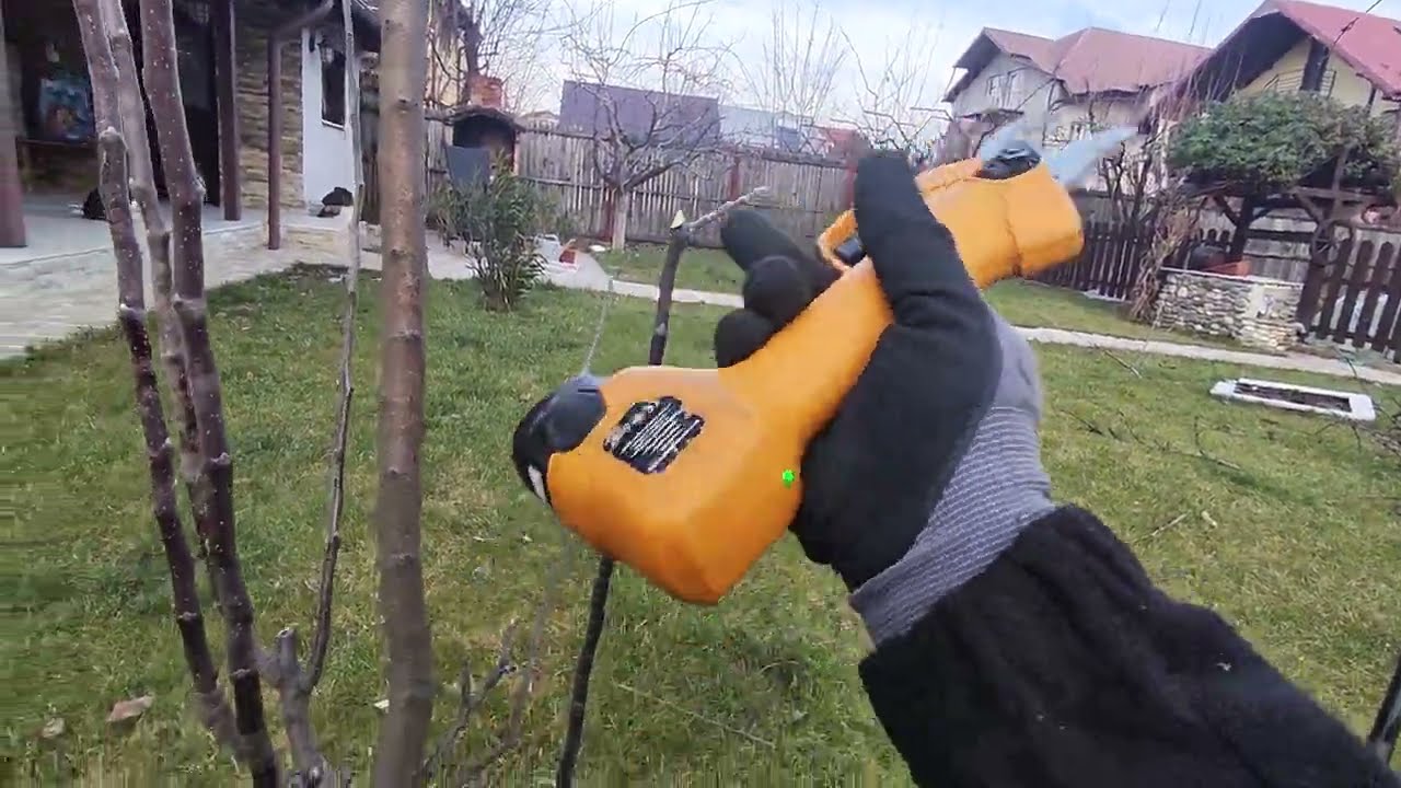 Curățarea unui măr Columnar🍏🍎✂️