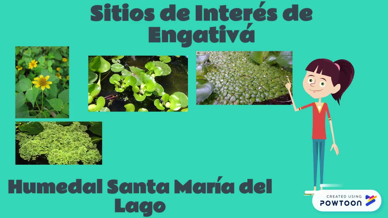 engativa 2