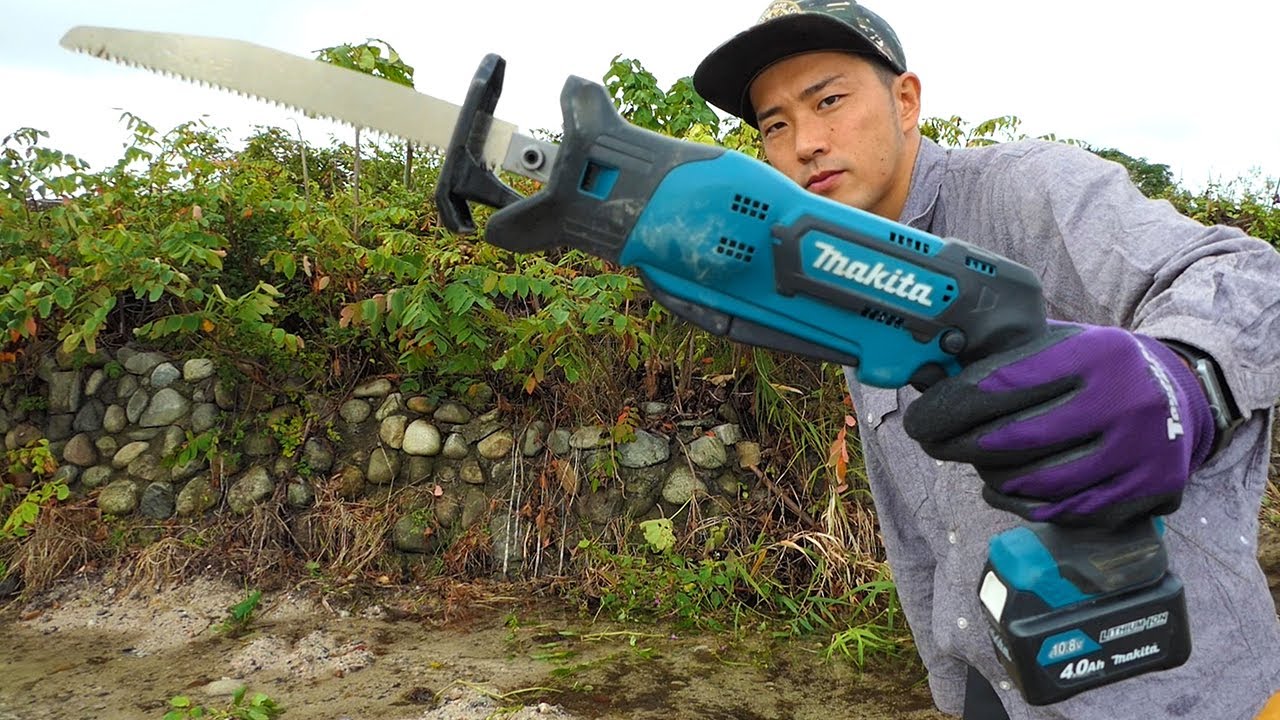 【マキタ】小型レシプロソーで謎の木を伐採【10.8V】〜チャンネルの今後について