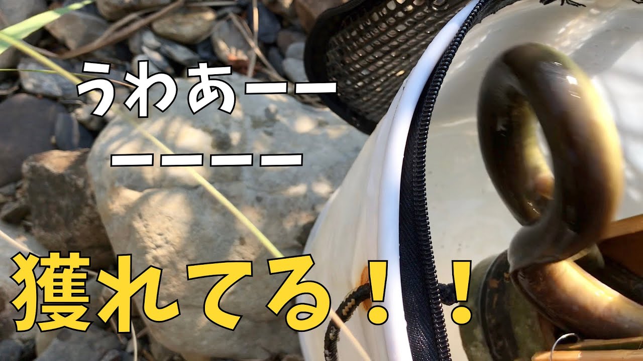 うなぎ筒竹で作ってみた