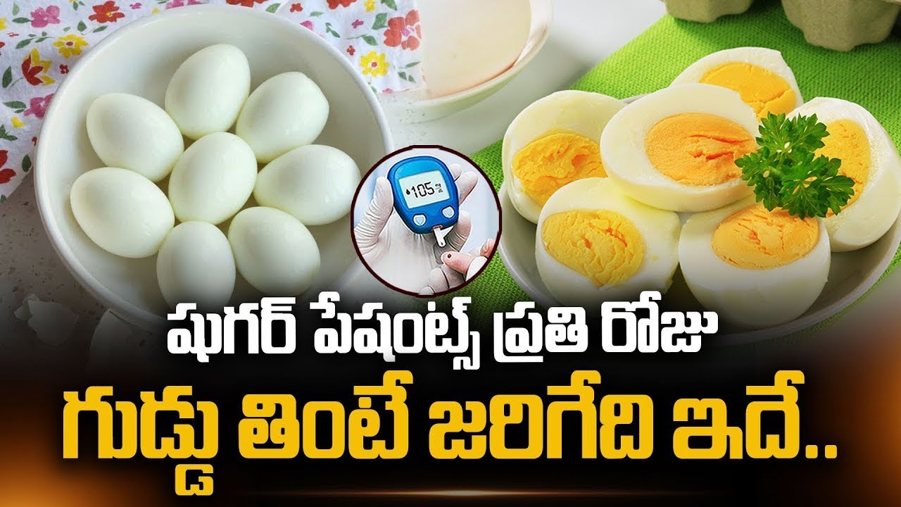 షుగర్ ఉంటే గుడ్లు తింటే జరిగేది ఇదే | Can Diabetes Patient Eat Egg