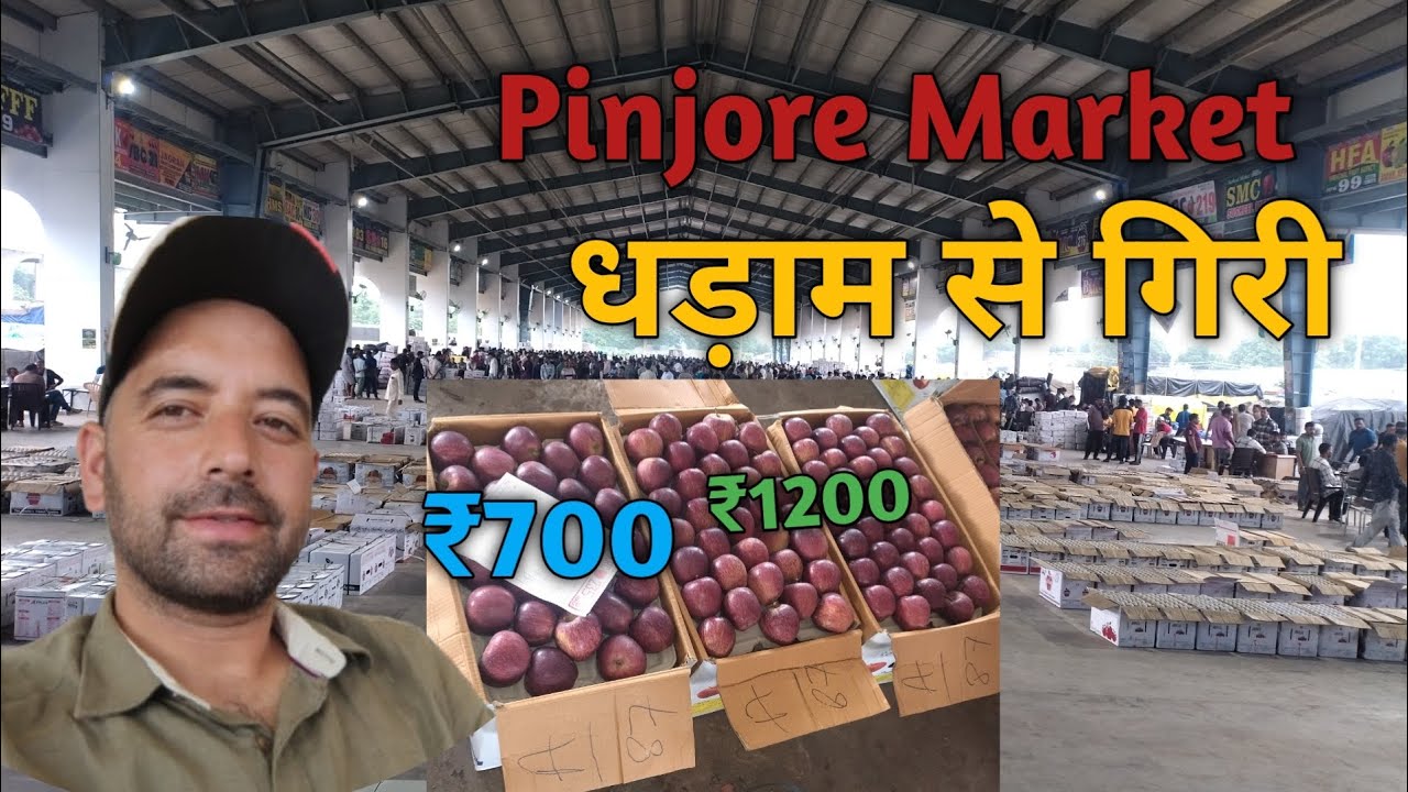 Pinjore Mandi me Seb ke Bhav Gir Gaye 😟 | Kisano ke Bure Haal 😥 |Apple Market Crash 2025 🍎 