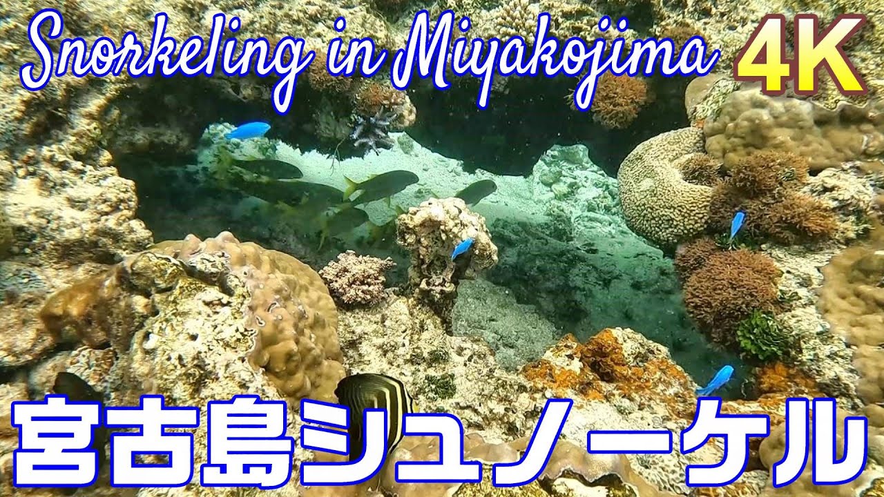 【4K宮古島DAY2】吉野海岸シュノーケルとオリオンの日 Snorkel on Yoshino Beach & Orion's Day Party