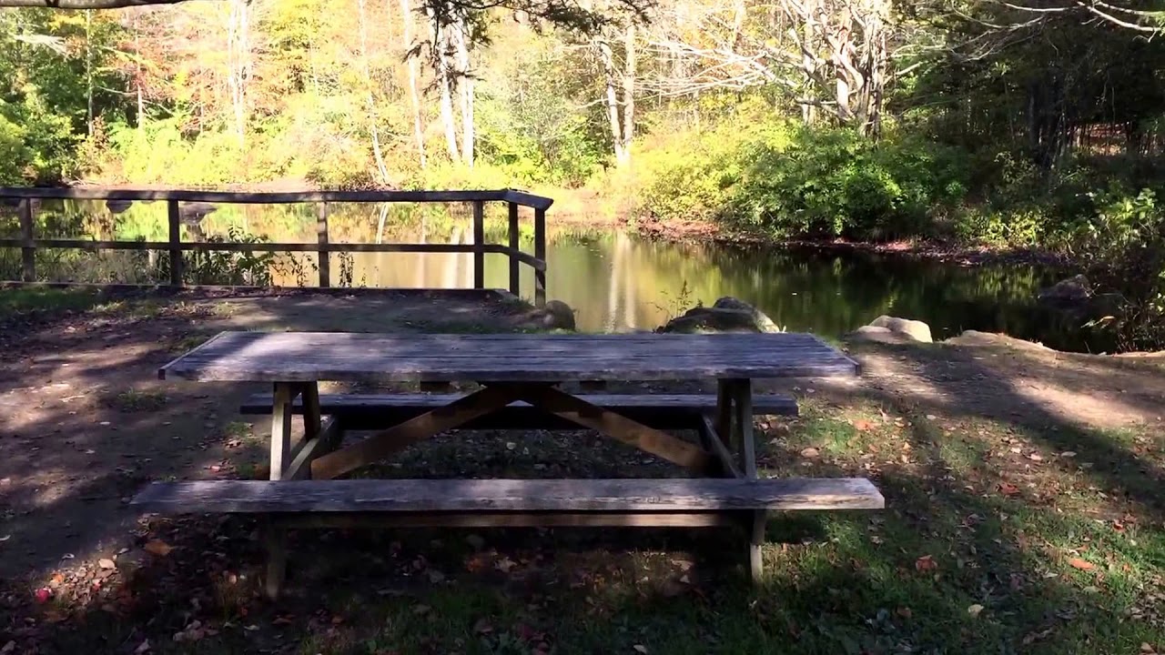 Beautiful Place #79 Devil's Hopyard State Park East Haddam Connecticut RV Lifestyle
