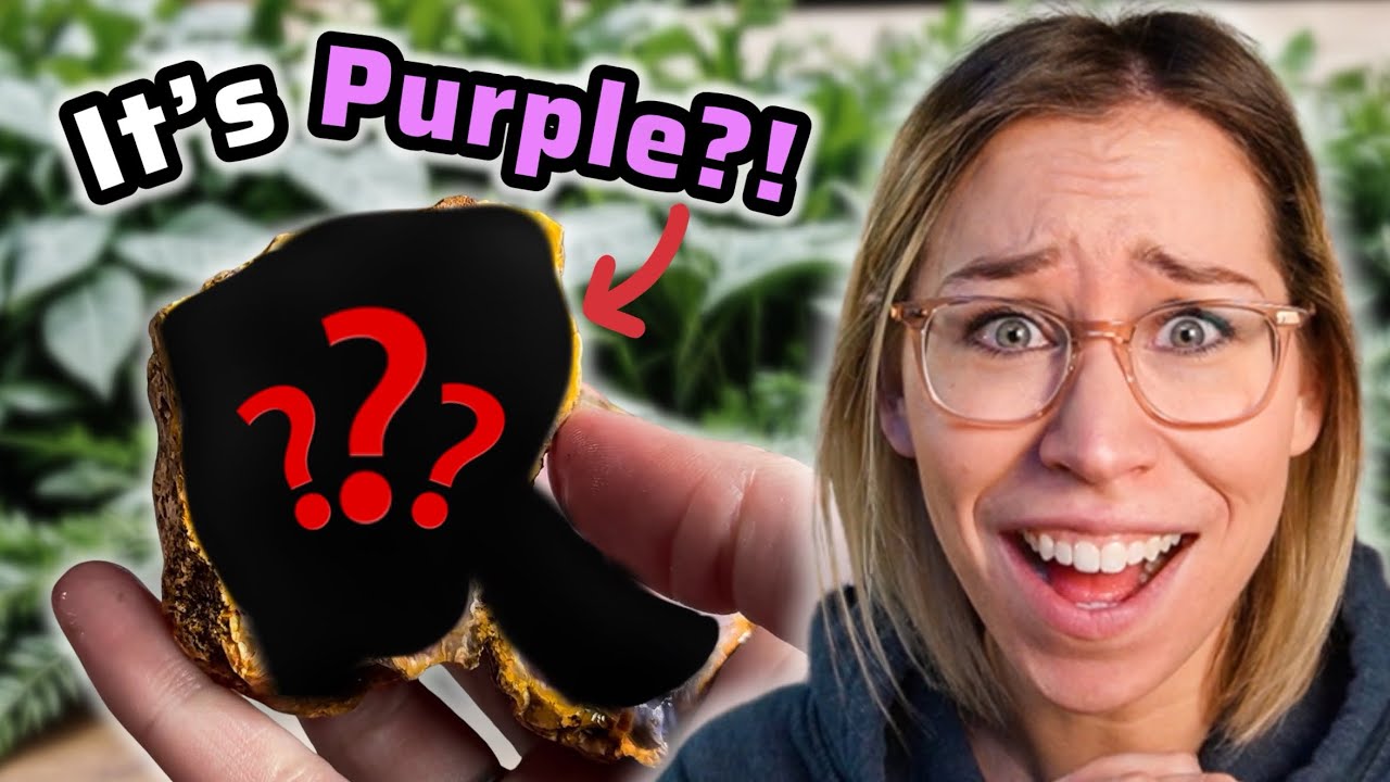 Znalazłem OGROMNĄ NIESPODZIANKĘ podczas rozcinania agat&oacute;w!