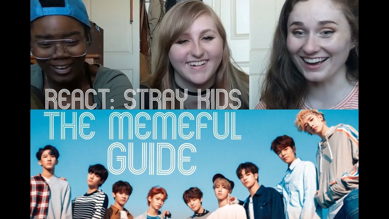 KPOP & NON KPOP FANS REACT to | A MEMEFUL GUIDE TO STRAY KIDS