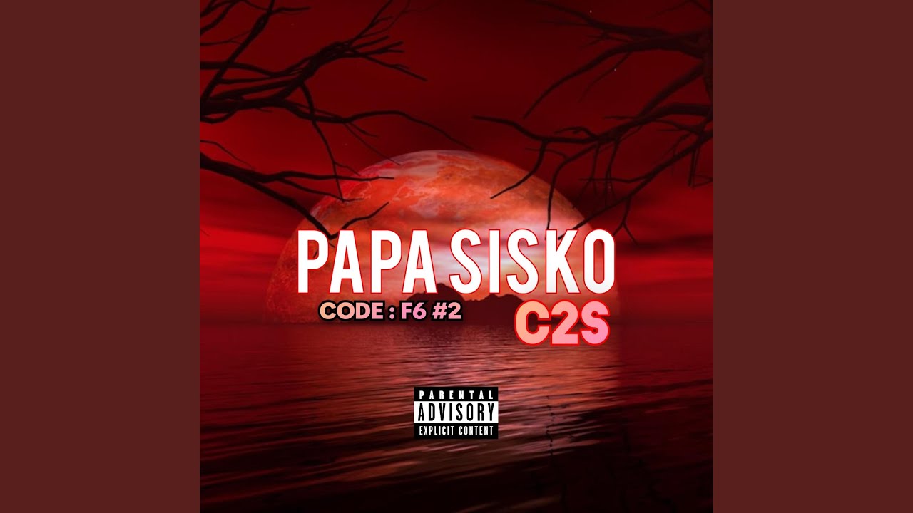 C2S