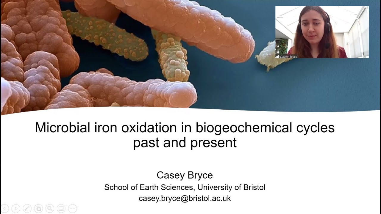 Microbial iron cycling in biogeochemical cycles past and present: Casey Bryce