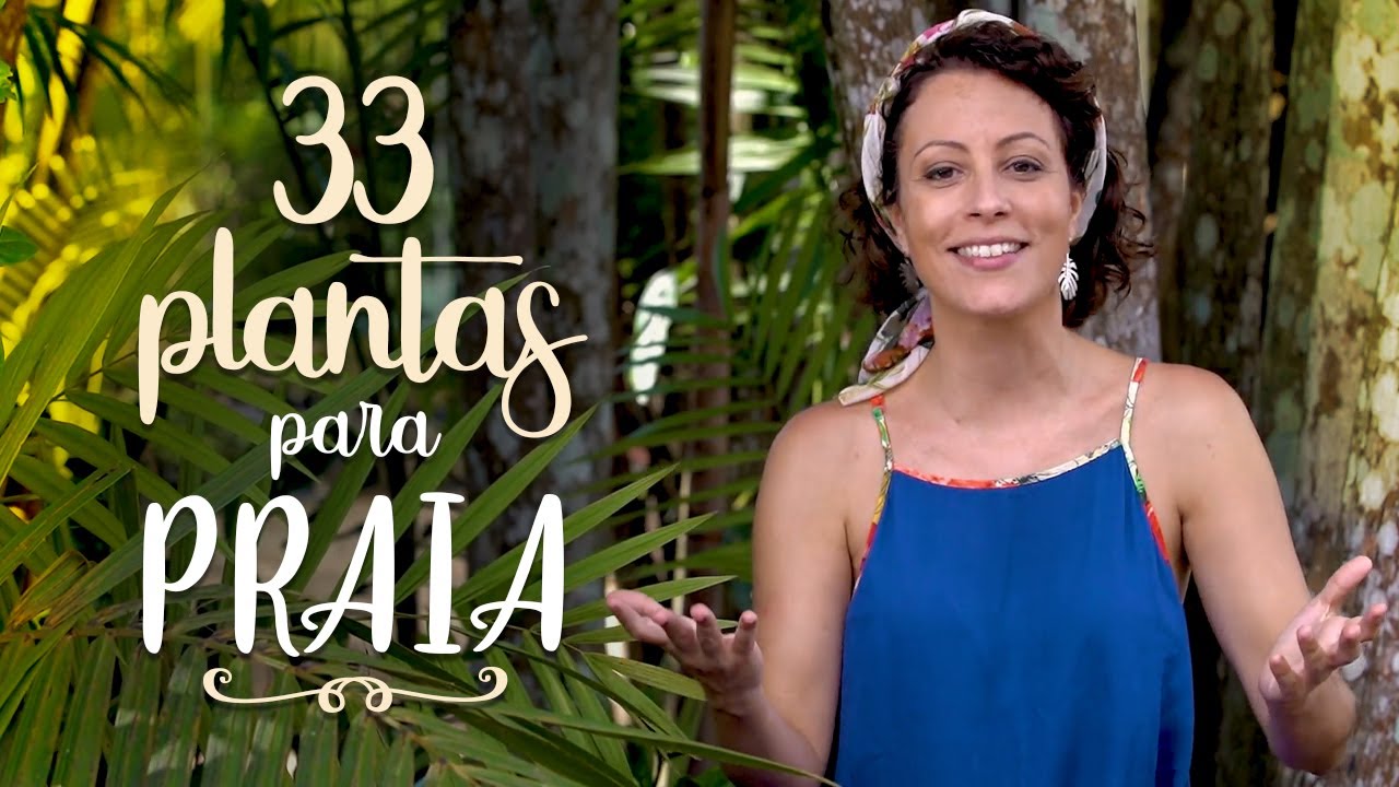 33 PLANTAS de SOL e PRAIA