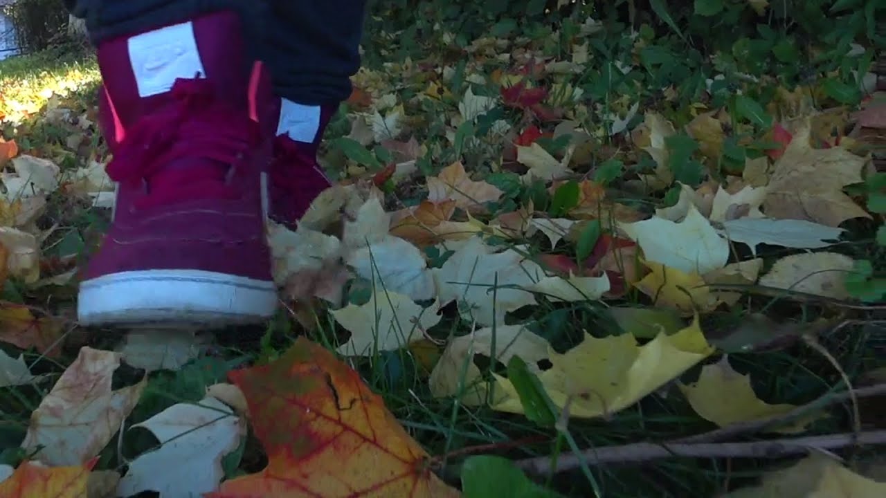 Crunchy Leaves Walk