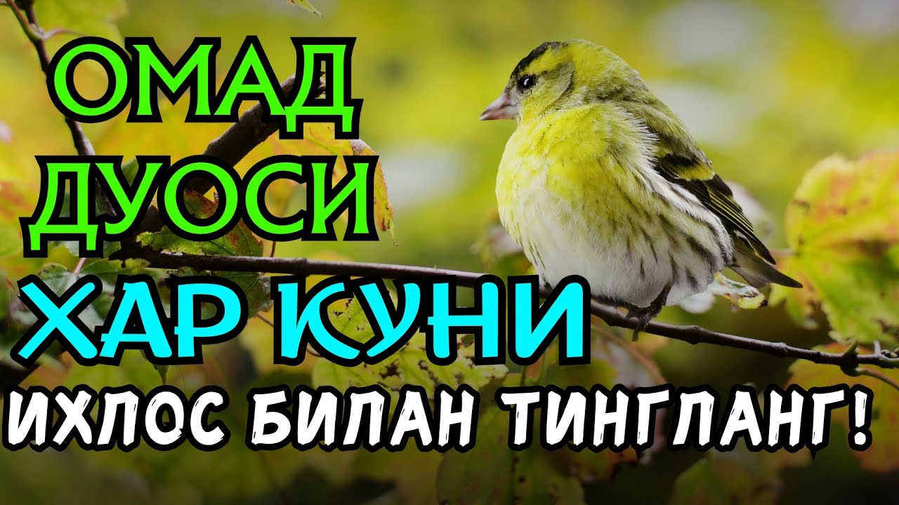 фақат 3 дақиқа вақт ажратинг, ушбу ўқишни тингланг, иншааллоҳ омад тилаймиз