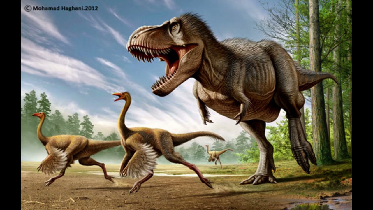 Struthiomimus tribute