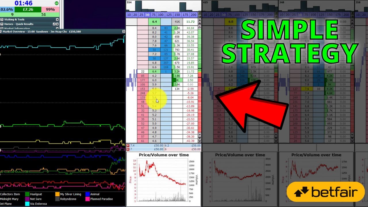 3 Betfair Trading Strategies: &pound;45 Profit in 10 Minutes Using Geeks Toy