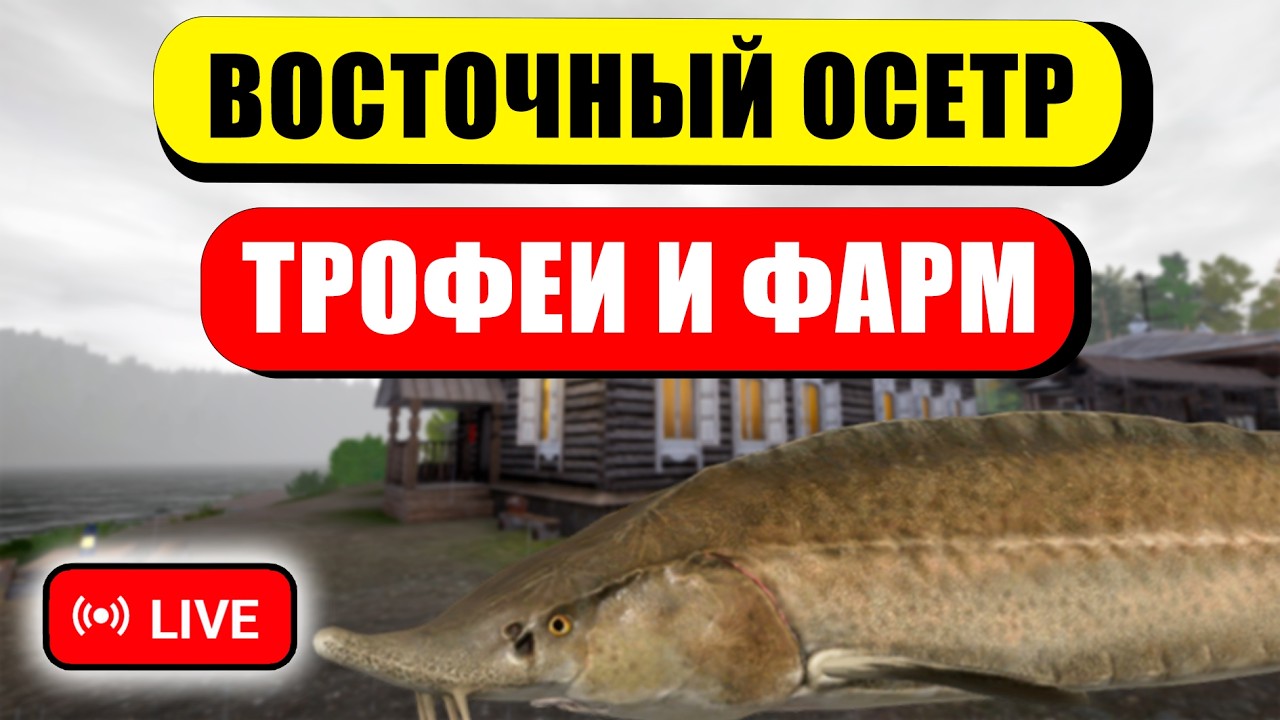ПРОВЕРЯЕМ ФАРМ СЕРЕБРА НА КОИ НА МЕДНОМ ОЗЕРЕ И НА ТУНГУ ЗА ОСЕТРОМ! • СТРИМ • Русская Рыбалка 4 РР4