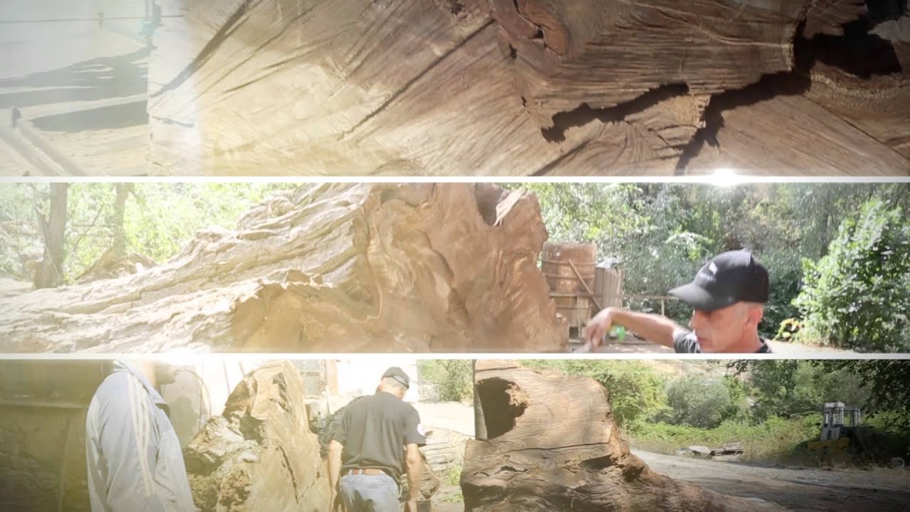 C&H LLC Walnut gunstock blanks