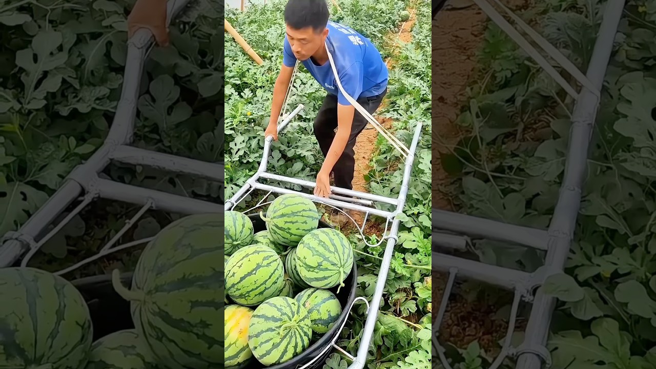 DIY watermelon cart: Quality tools and machinery enhance work efficiency