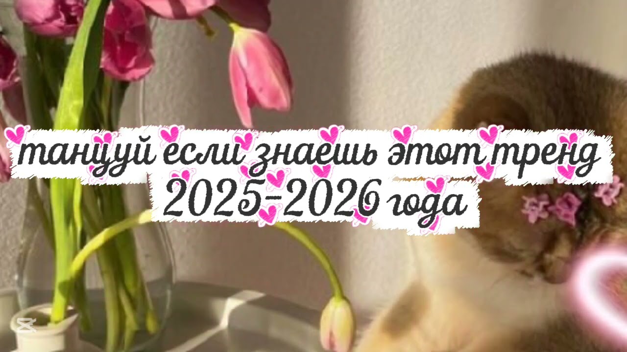 Танцуй если знаешь этот тренд 2025-2026 года #kamistory2015 #потрендам #залетипж #залети #врек #2026