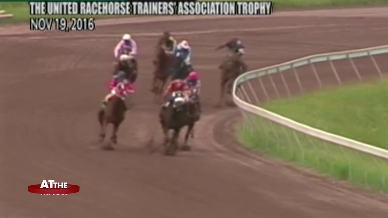 Jalon Samuel wins Barbados Garrison Savannah main events & more | At the Track | Nov 24