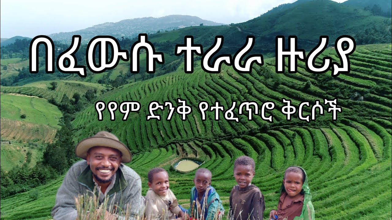 #የም በፈውሱ ተራራ ዙሪያ #ቦር #እርከን #Yem #MountBor #GuzoEthiopia #agritourism #ጉዞ_ኢትዮጵያ #travelEthiopia