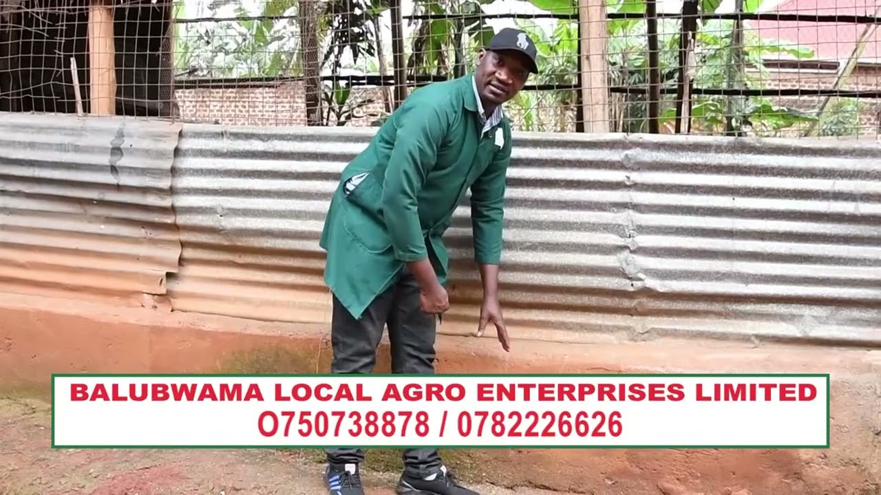 Bwetuti Bwetuzimba  Ekiyumba Kyenkoko Ekyangu