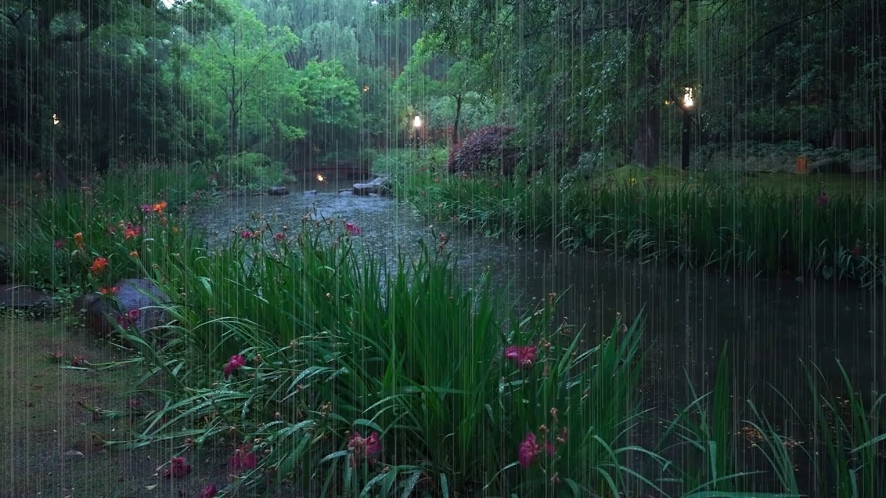 The beautiful little river is raining(407) , sleep, relax, meditate, ASMR, Real Shot