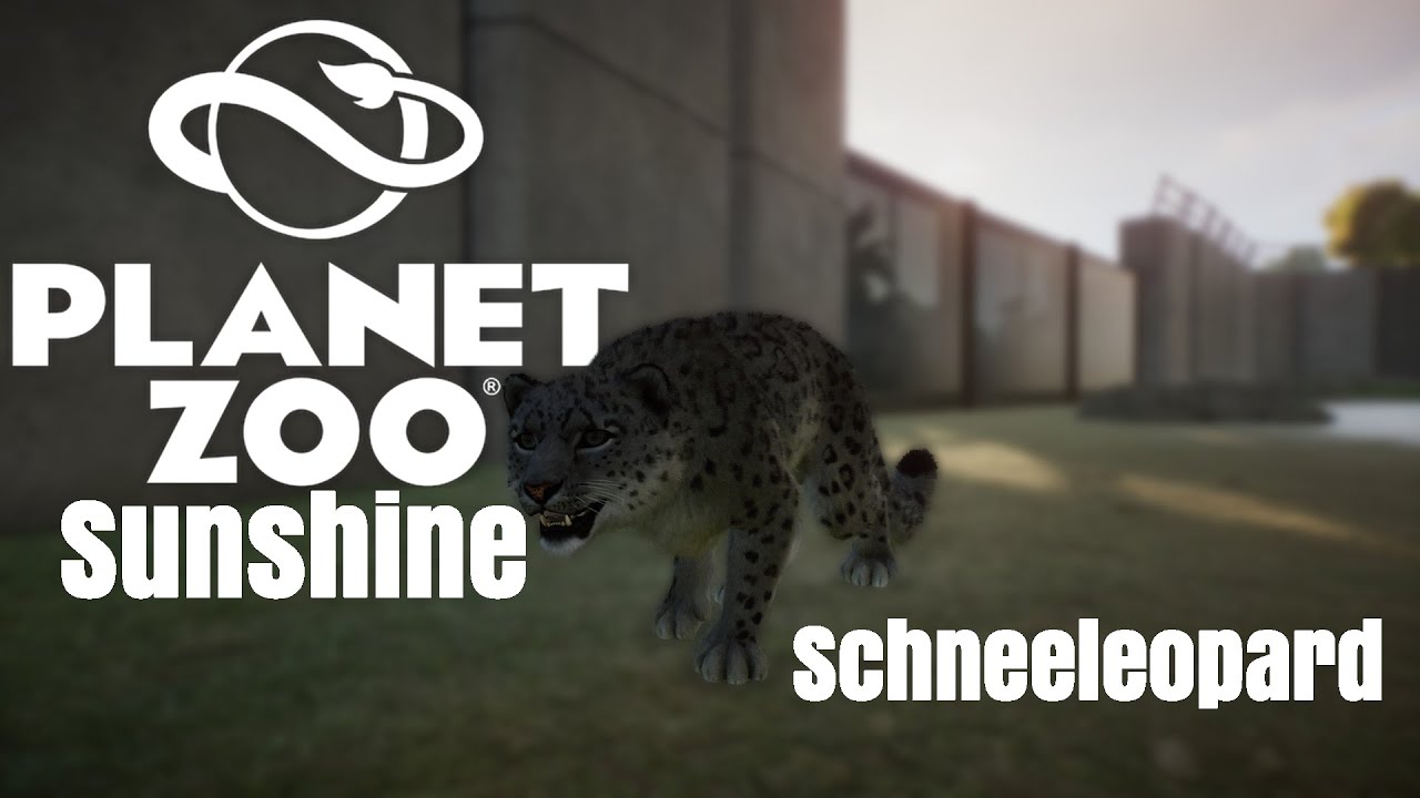 Ein Wintergehege für den Schneeleopard❄️Planet Zoo ⟪⟫ Tambie